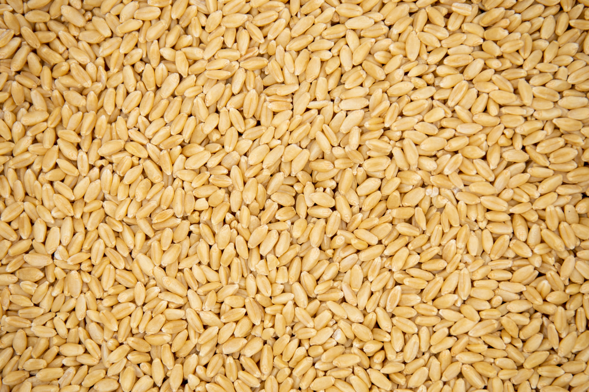 Hard White Wheat Berries